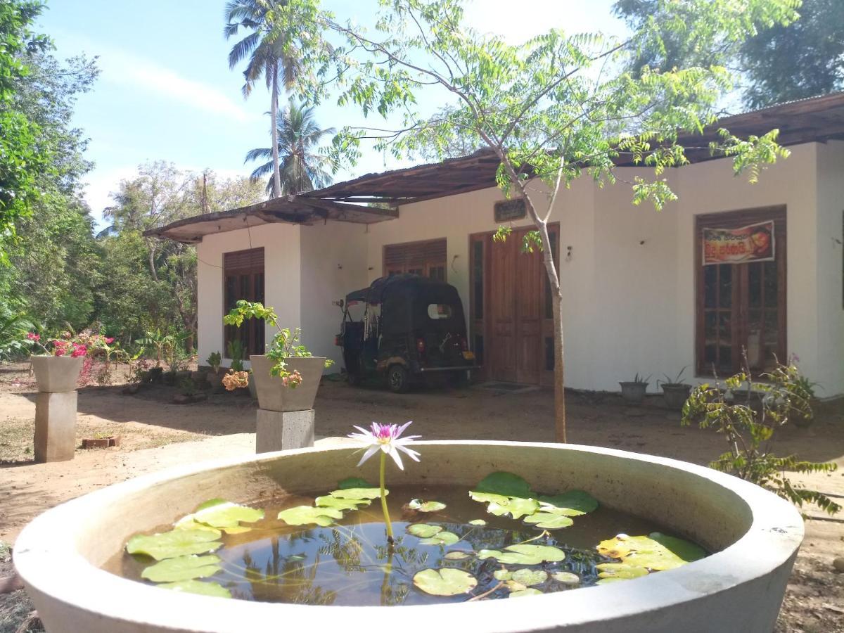Silent Peacock Villa And Peacock Cafe تانجالي المظهر الخارجي الصورة