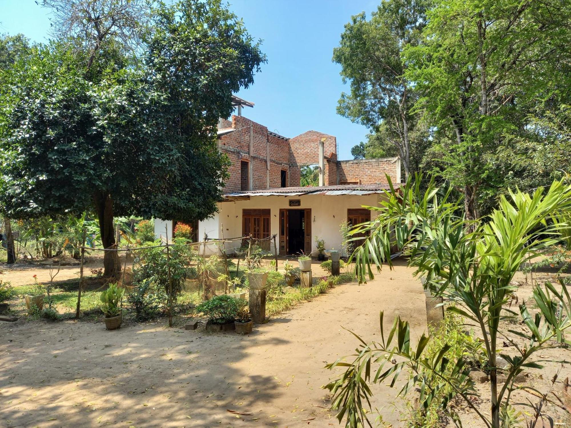 Silent Peacock Villa And Peacock Cafe تانجالي المظهر الخارجي الصورة